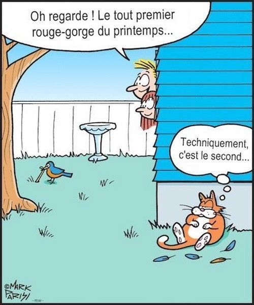 la cé..sur....
