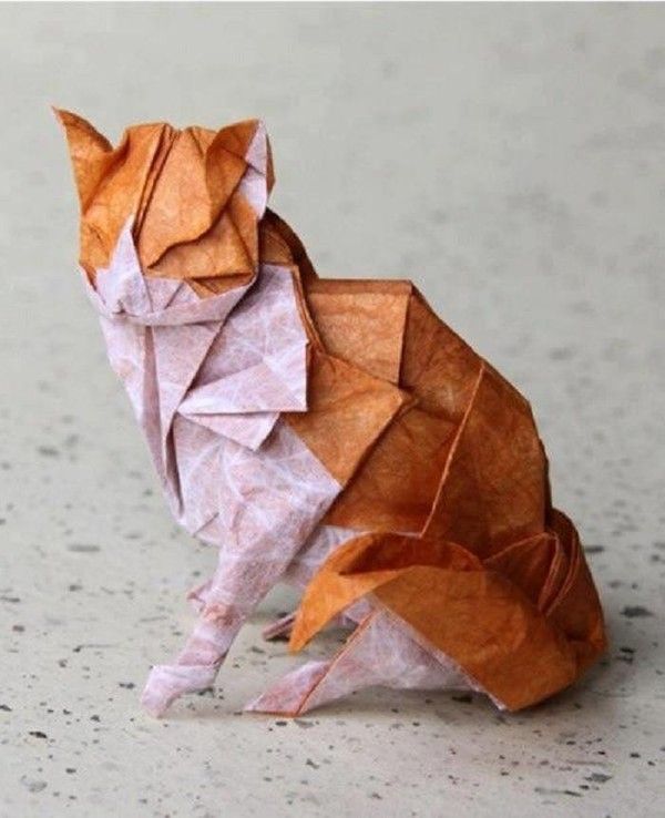 Art origami....