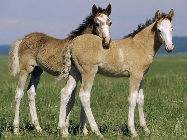 Bébé..printemps....