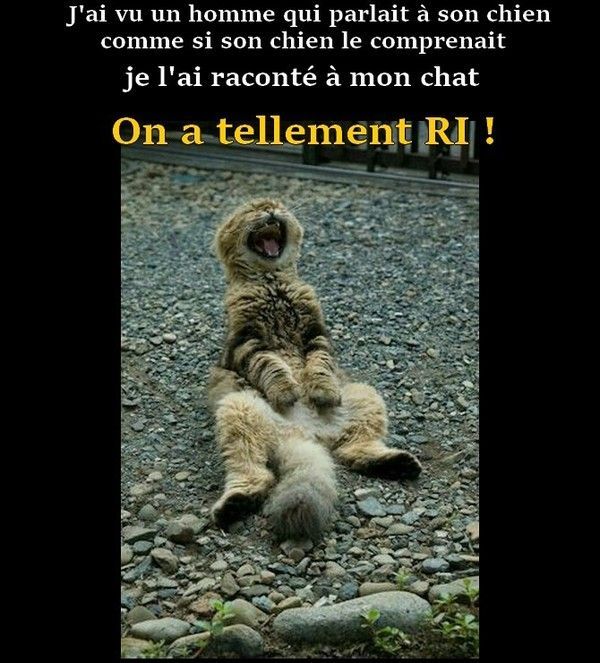 yé..ti drôle...lui..hi.hi..