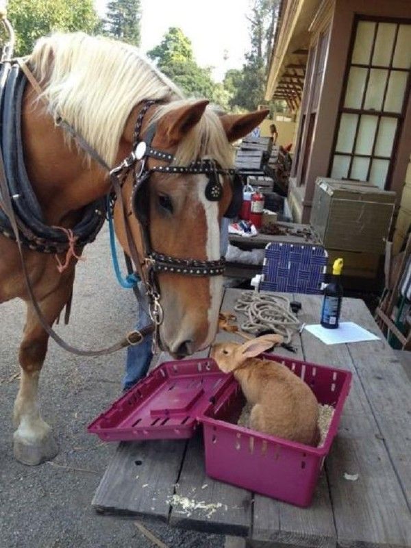 Rencontre amical..