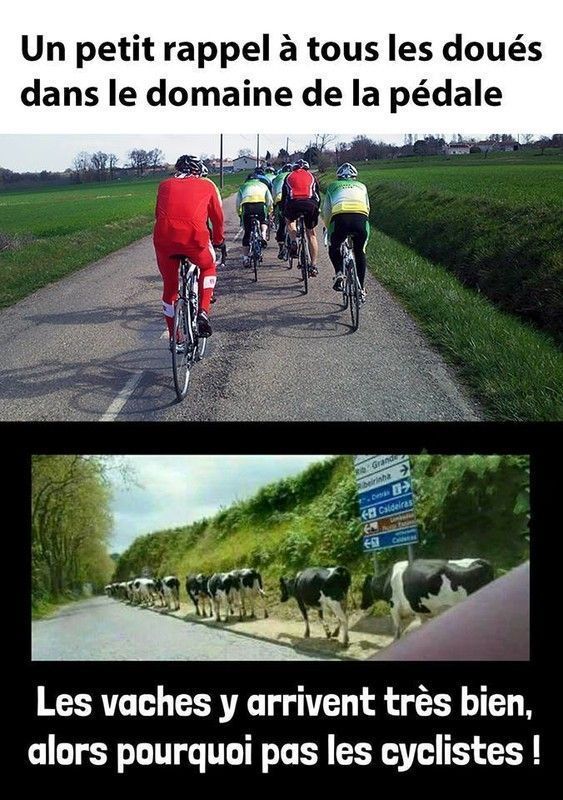 y en as partout