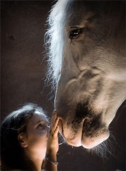 Un cheval et une fillette...