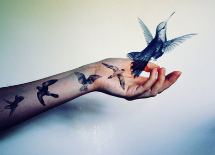une main tatoué...d'oiseaux...