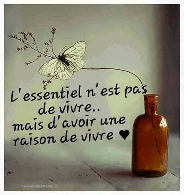 pensé