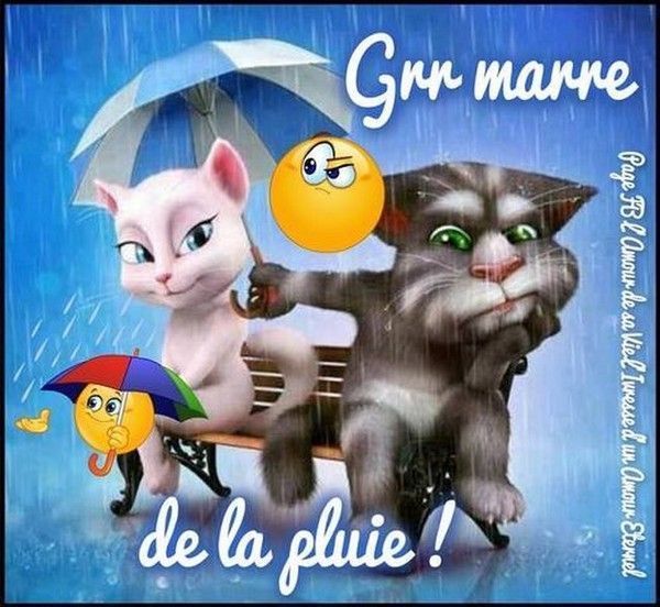 y'en a marre