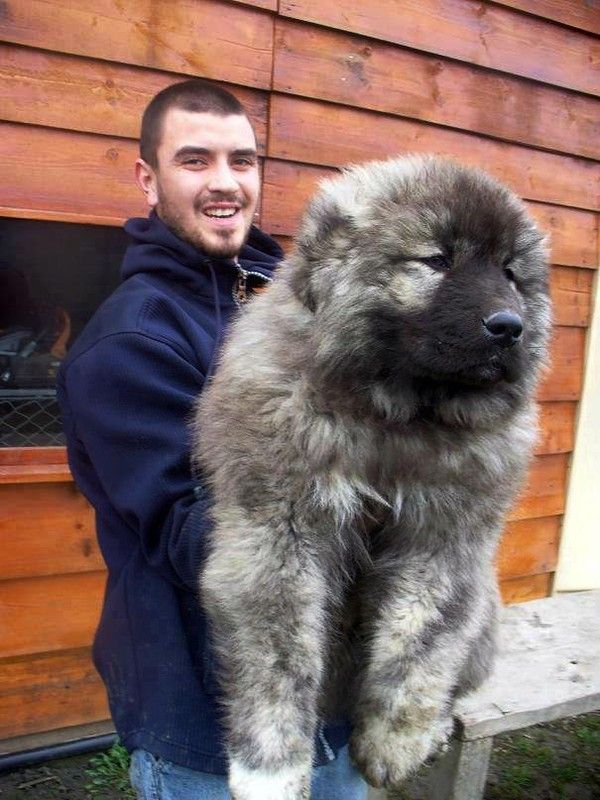 Hé...sa c'est du big....hi.hi..
