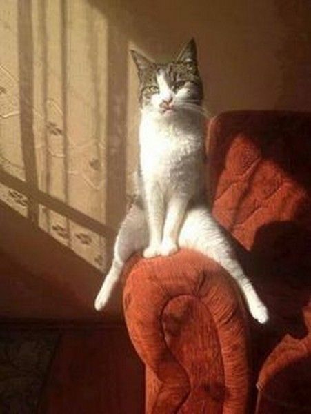 faut rien que je fasse...hi.hi..