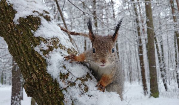 Hé...oublie pas ..hi.hi..