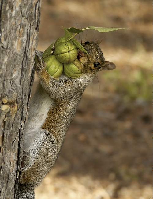 On fait les provisions....