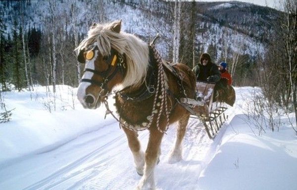 Bon moyen ....transport...