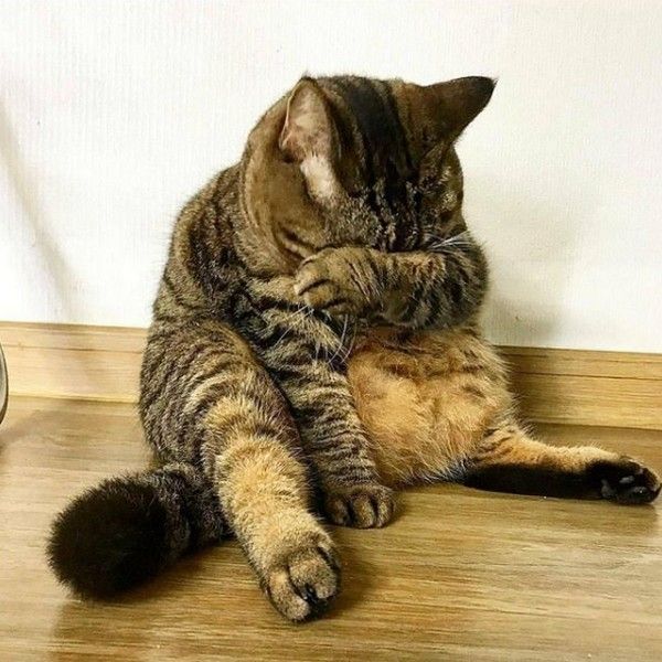 oh...no....cé..fini...