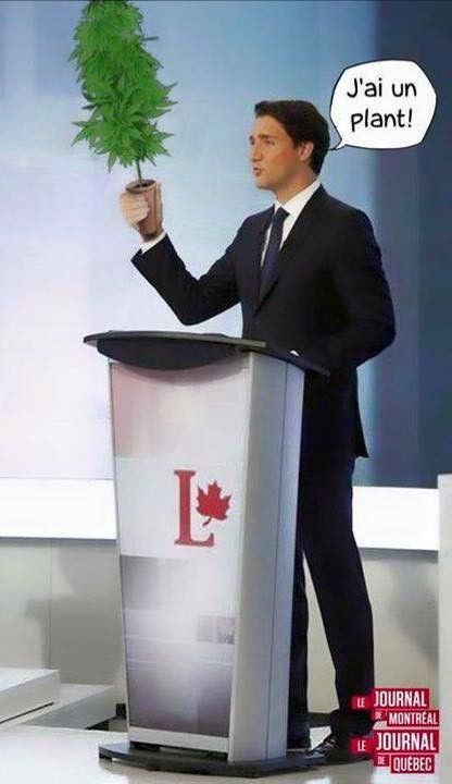 la Trudeau manie....