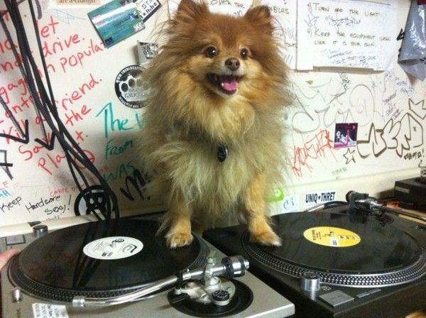 Le DJ du dimanche