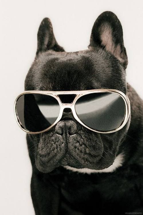 pense a tes lunettes..hi.hi..