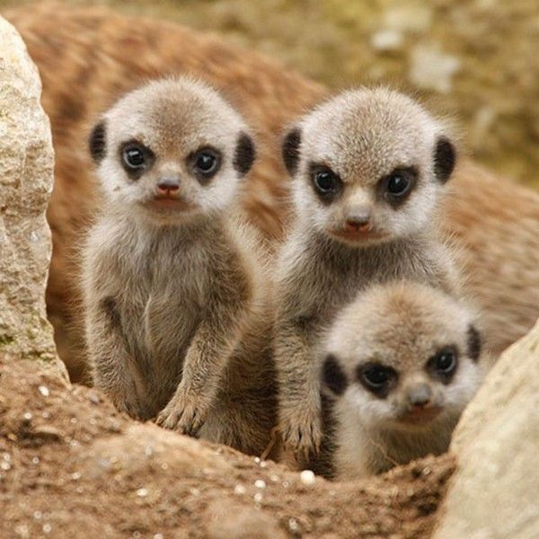 y'as pas juste moé......hi.hi..