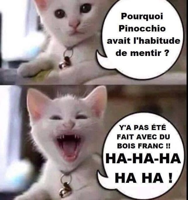 juste pour faire