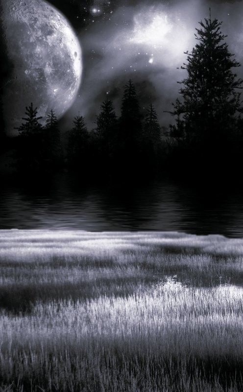 bonsoir.....la vie nuit...