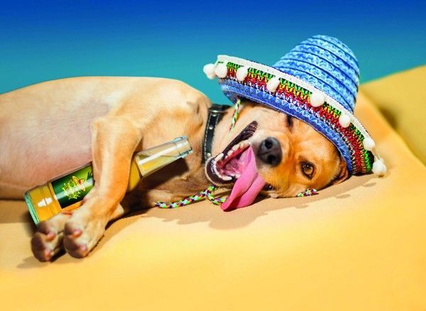 bonne vacance