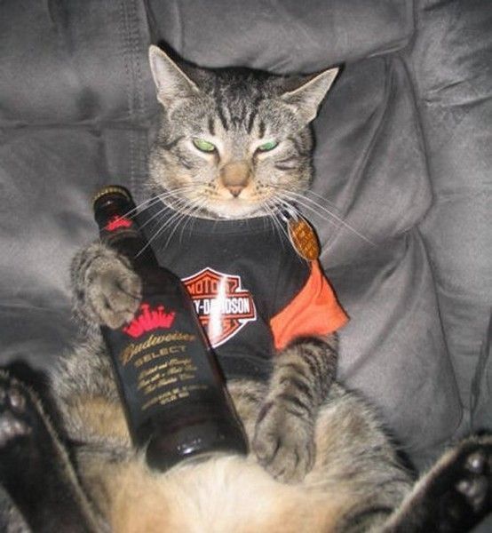 bonne apéro