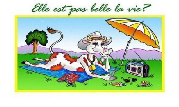 Belle vie cela.....