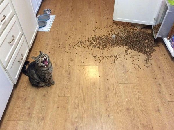 j'ai faim......