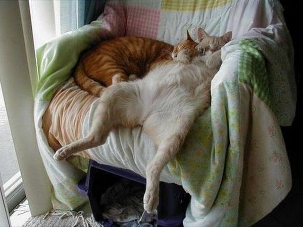 bahhhhhhhhh...pas nous