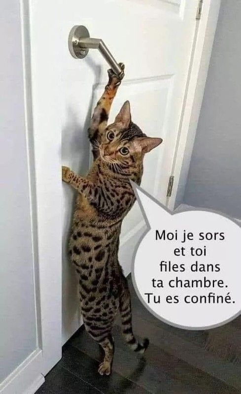 sorti....matinal