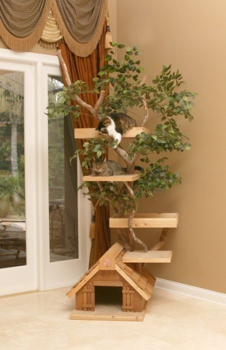 Arbre condo
