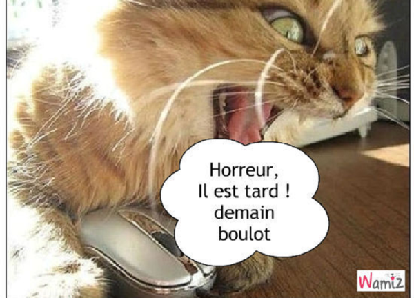 OUIIIIII..je sais...j'y vais..là....