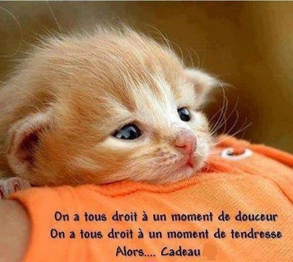 Cadeaux