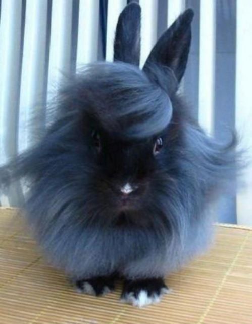 On ce fait belle....