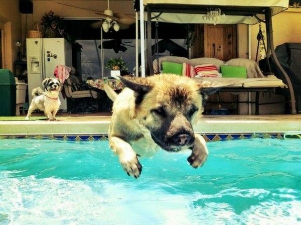 On plonge.....