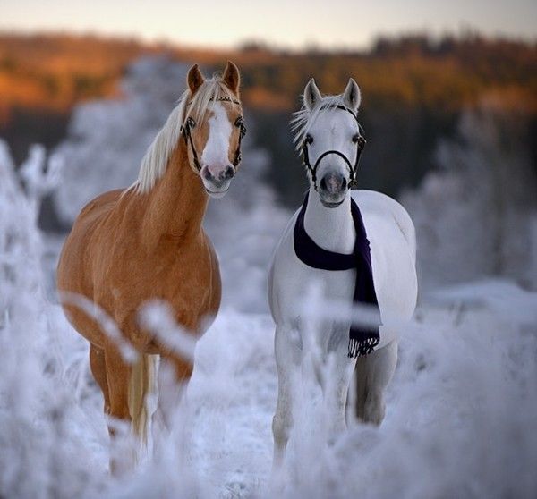 toujours aussi..froid...hi.hi..