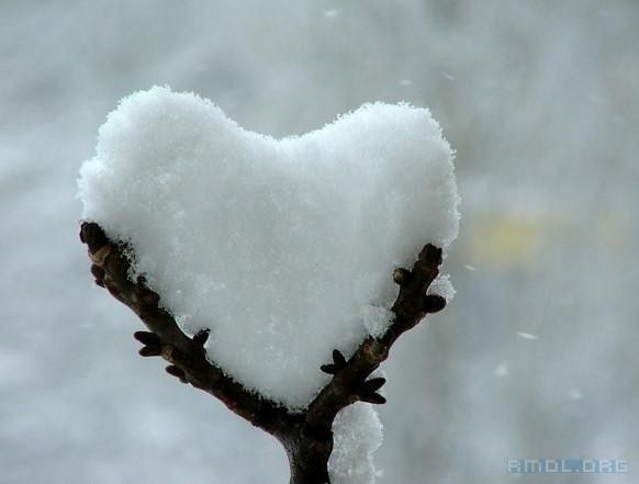 Un petit coeur froid