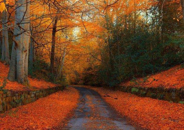 bienvenue octobre