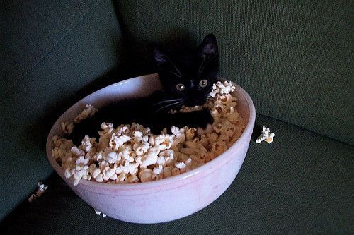 Moi aussi j'adore le pop-corn...