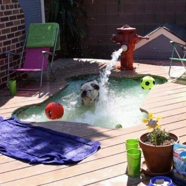 On profite des points d'eau..hi.hi..