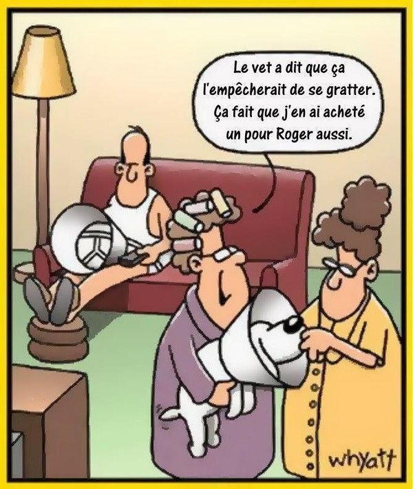 Humour de BD