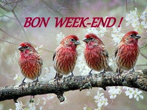 bon week end