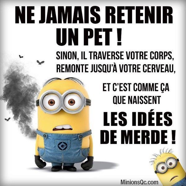 idée de mdr