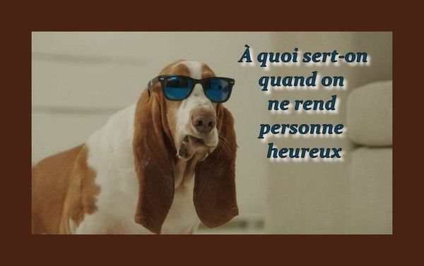 Chien...et sa moral..hi.hi..