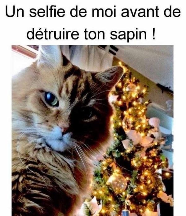 mdr