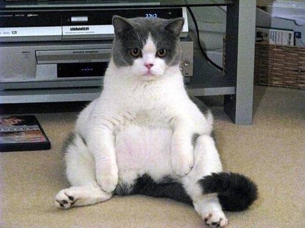 bon ok....je me calme