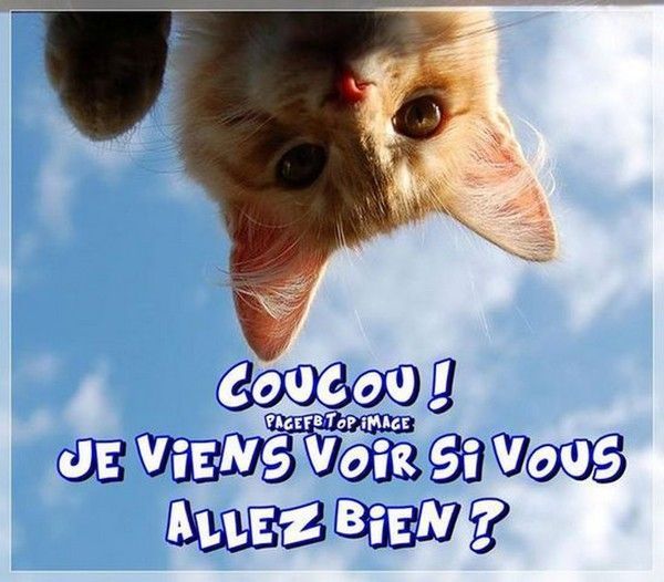 recoucou