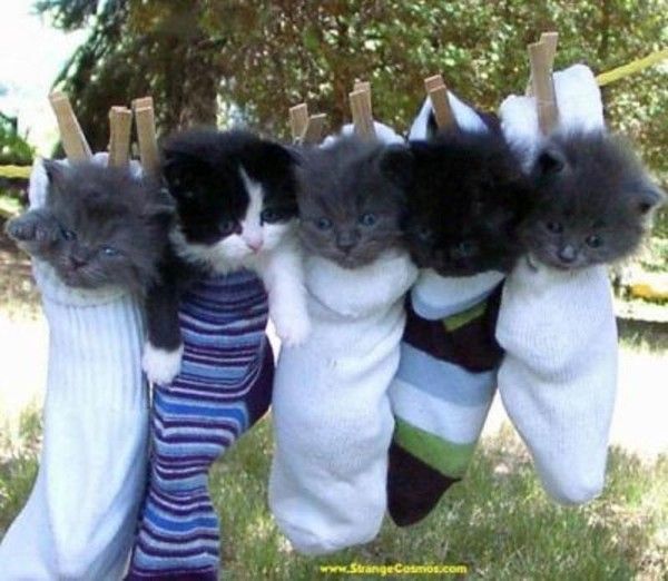 Linges sur la corde....