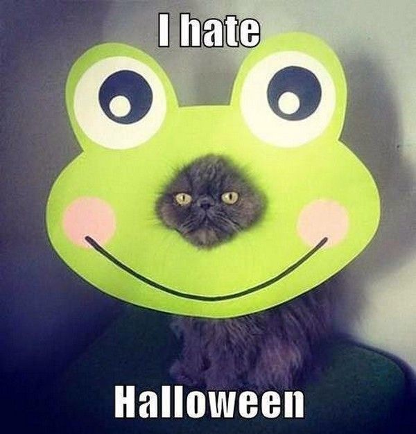 déteste halloween..hi.hi..