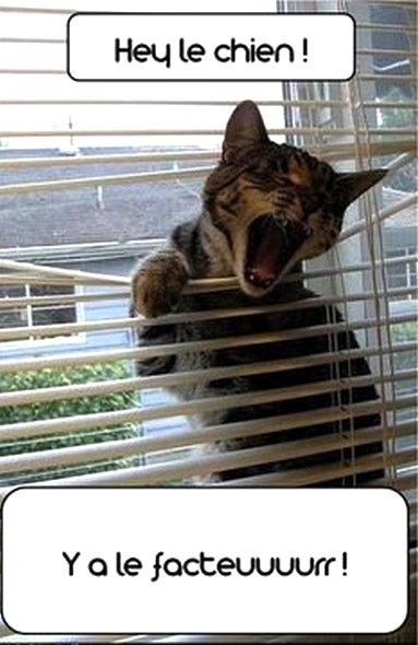 facteur........!!!!