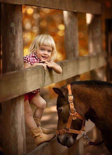 L'automne entre ami....