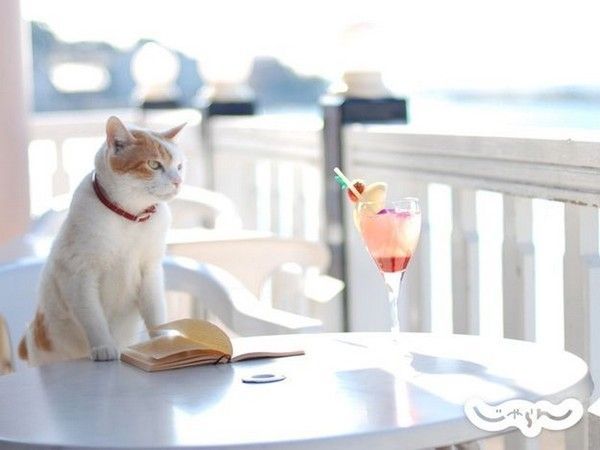 woais des vacances paisible